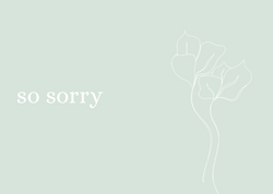So Sorry